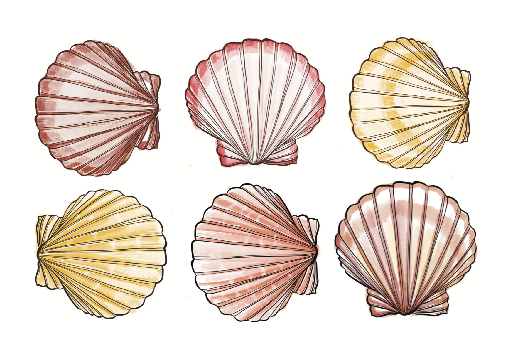 variant